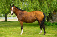 Mel-5