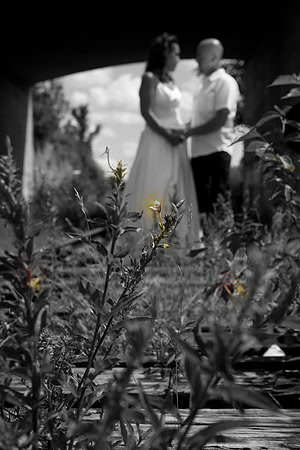 weddingweb-30